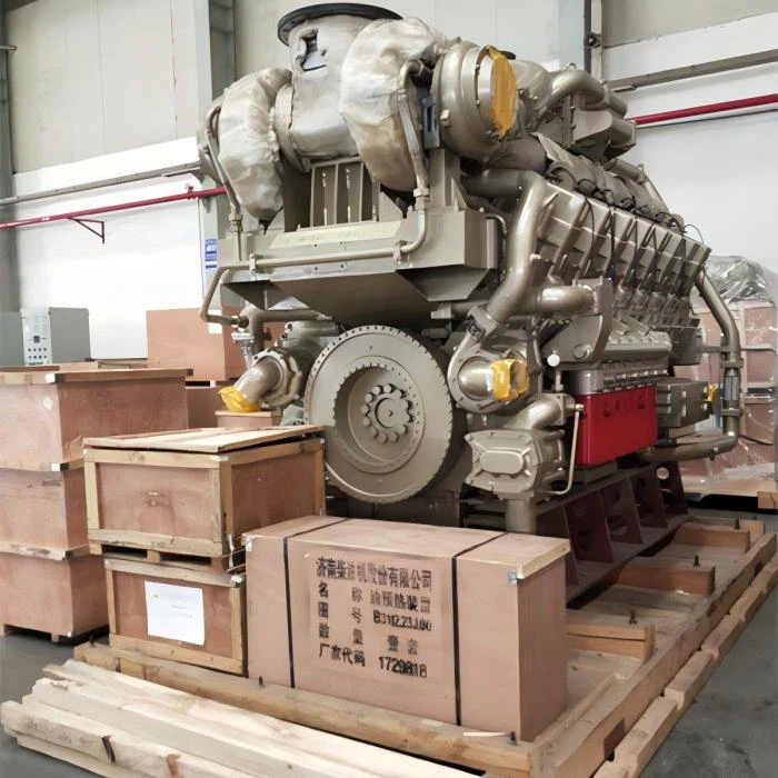 1000KW Biogasgenerator